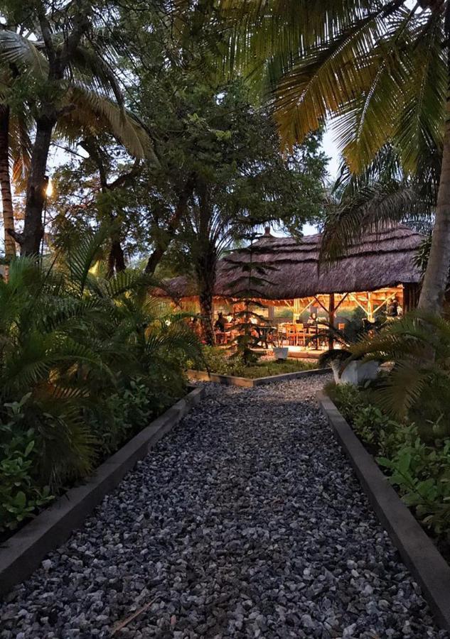 Twitter Paradise Ampeni Bagian luar foto