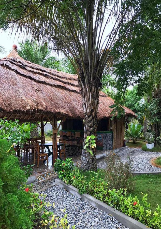 Twitter Paradise Ampeni Bagian luar foto