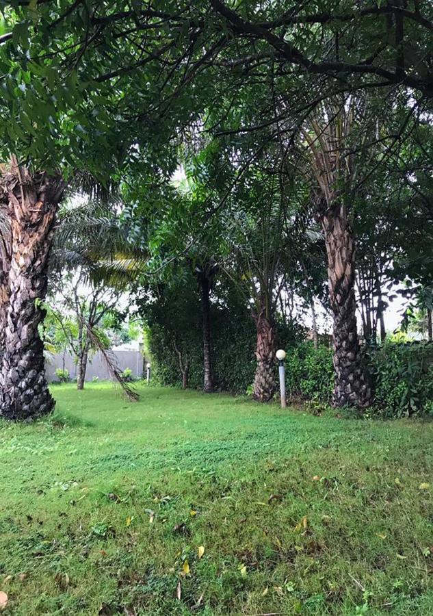 Twitter Paradise Ampeni Bagian luar foto