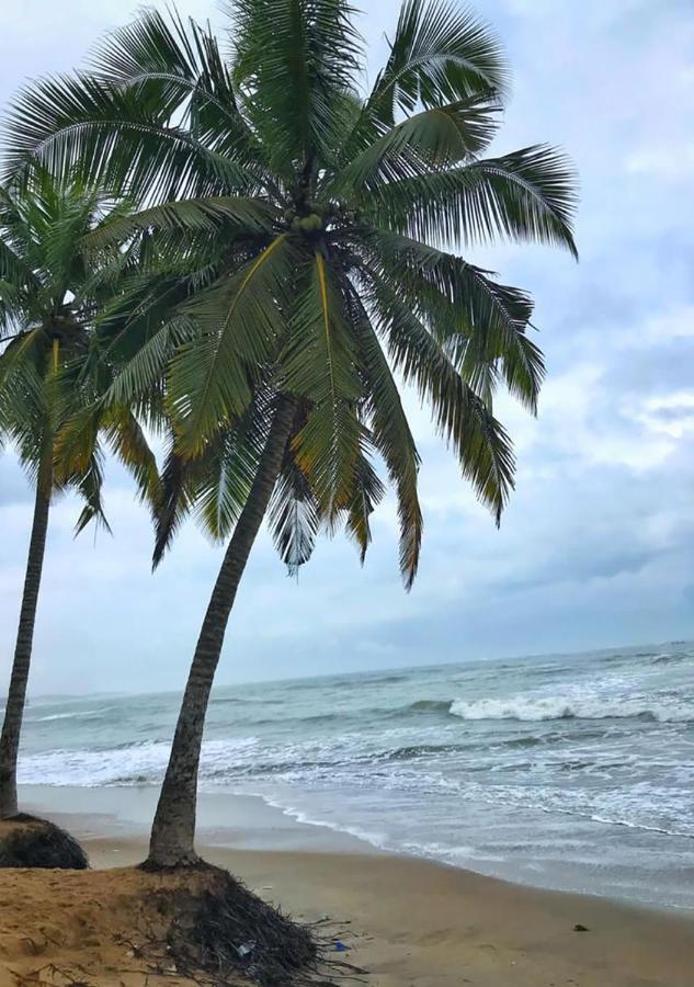 Twitter Paradise Ampeni Bagian luar foto