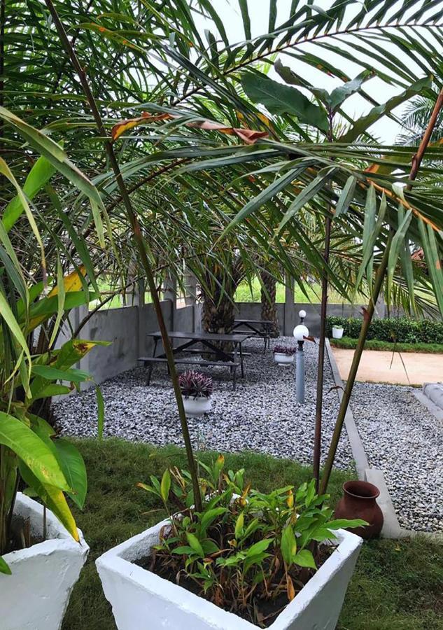 Twitter Paradise Ampeni Bagian luar foto