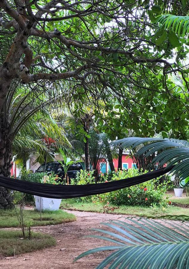 Twitter Paradise Ampeni Bagian luar foto