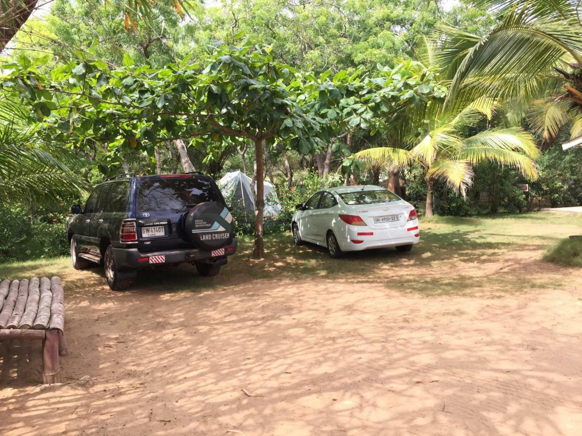 Twitter Paradise Ampeni Bagian luar foto
