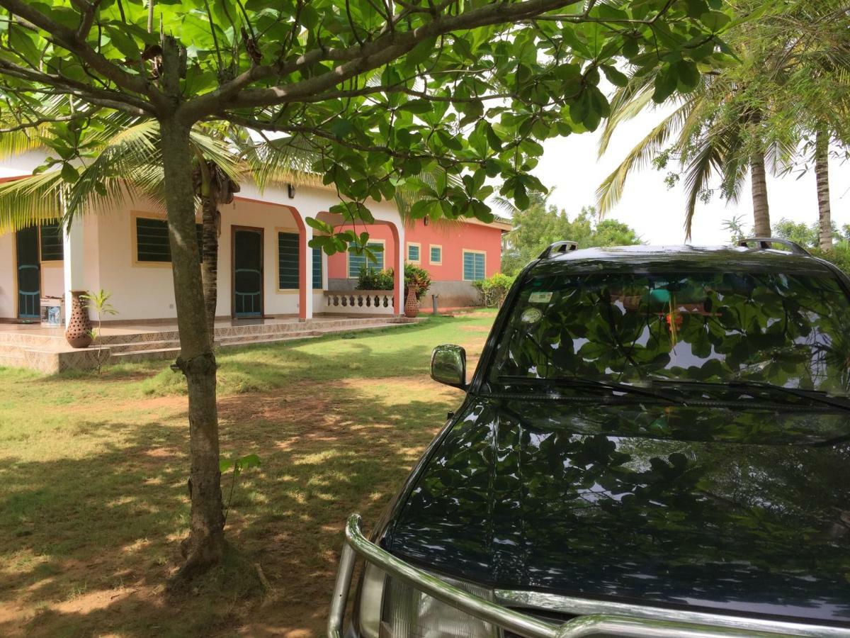 Twitter Paradise Ampeni Bagian luar foto