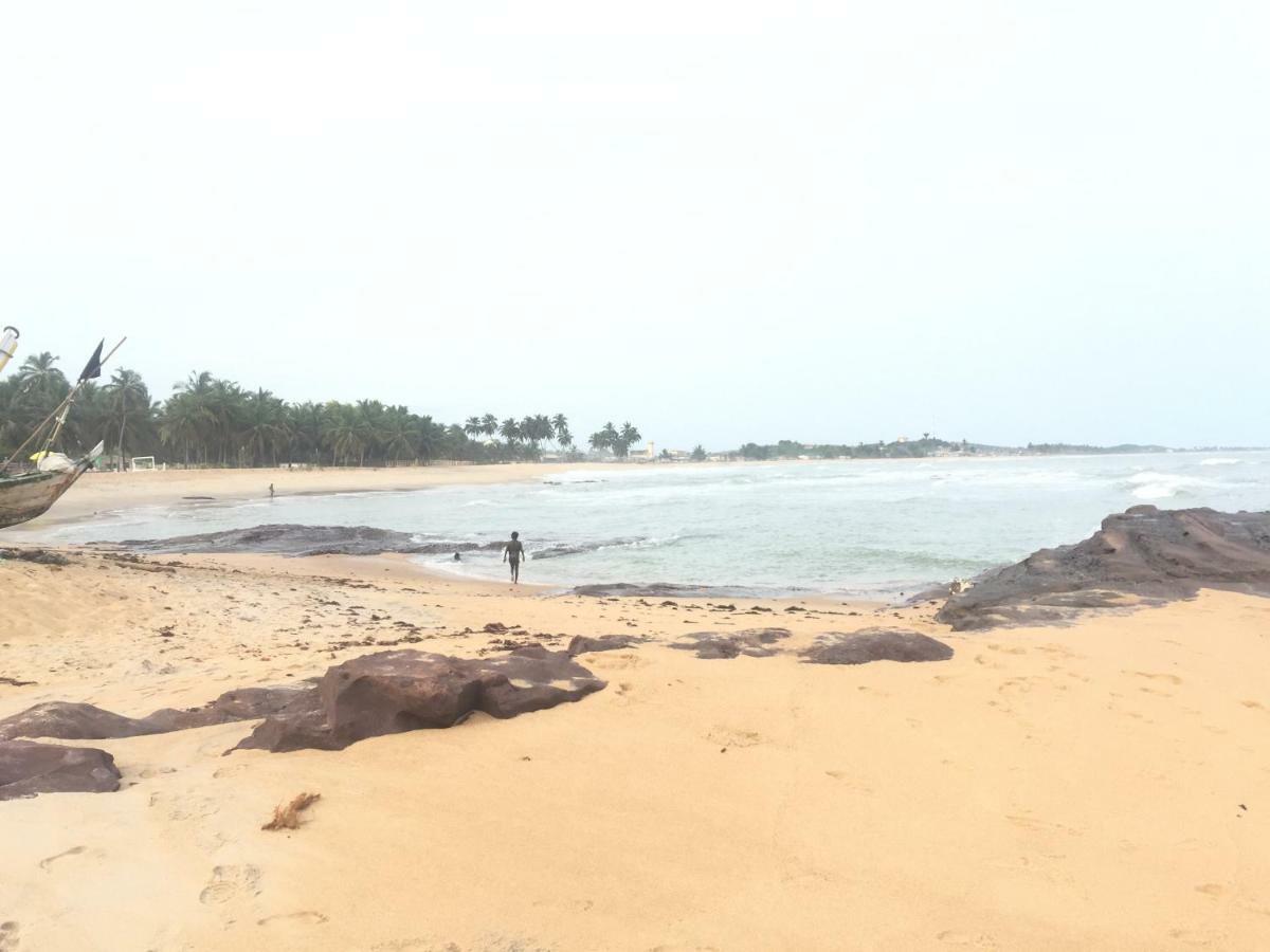 Twitter Paradise Ampeni Bagian luar foto