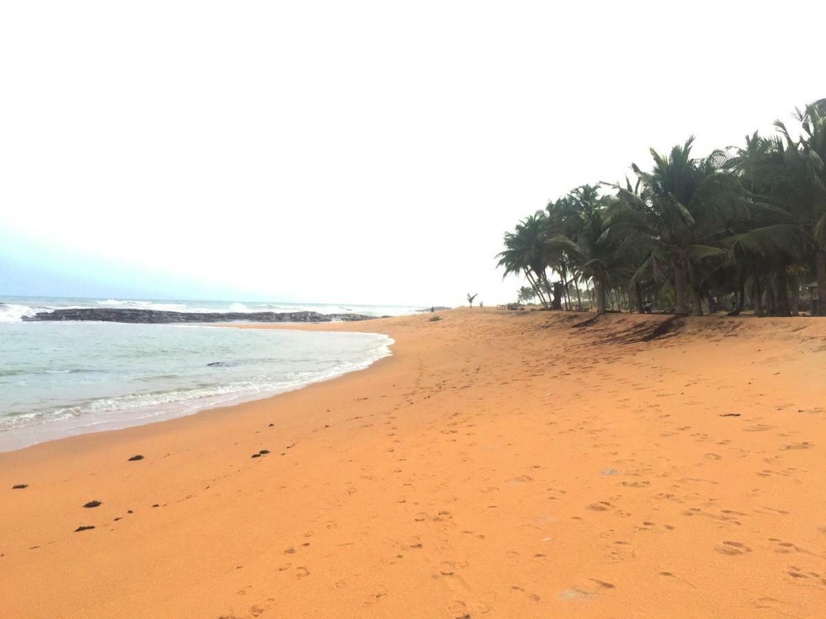 Twitter Paradise Ampeni Bagian luar foto